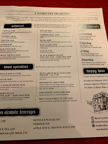 255 King St E, Hamilton, ON L8N 1B9