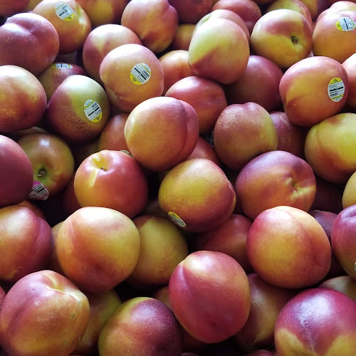 1415 Hillside Dr #18, Kamloops, BC V2E 1A9