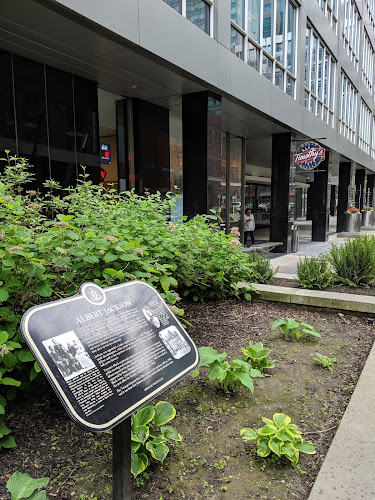 Opinii despre Timothy's World Coffee în Toronto - Hospitality and gastronomy