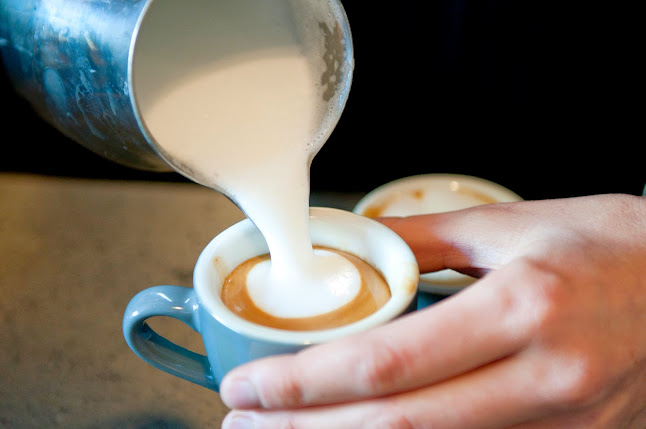 Iconoclast Coffee Roasters - Edmonton