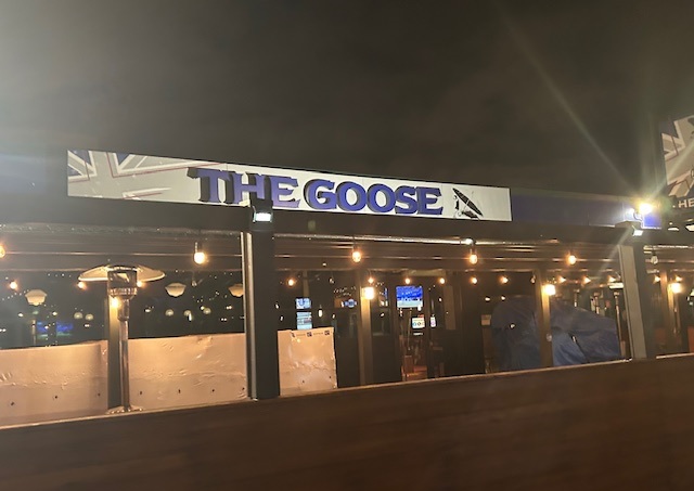 Comentarii opinii despre The Goose