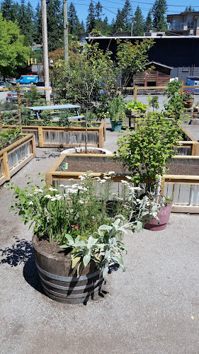 Orto Artisan Pasta - Hospitality and gastronomy