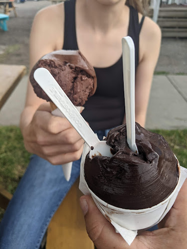 Comentarii opinii despre Noto Gelato