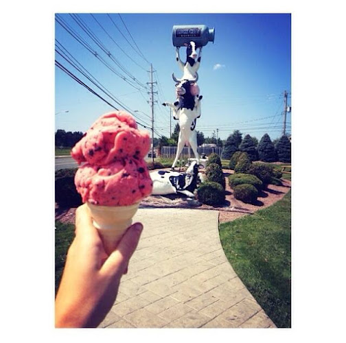 Opinii despre Holy Cows Ice Cream în Sault Ste. Marie - Hospitality and gastronomy