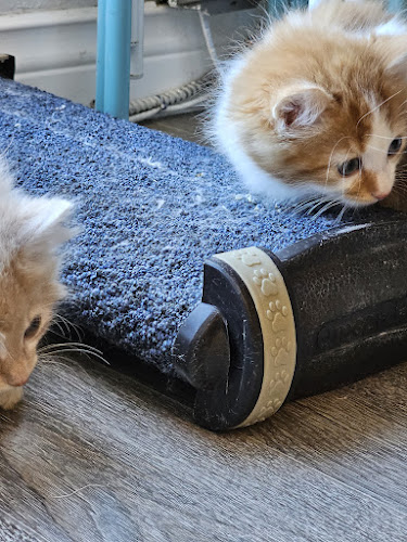 124 Duckworth St, St. John's, NL A1C 1E8