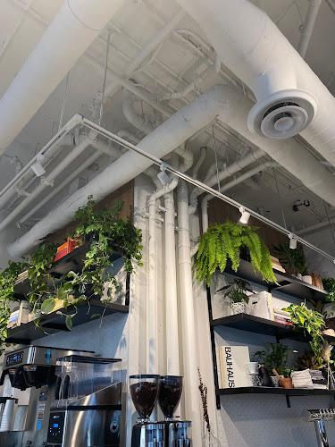 Comentarii opinii despre BODEGA