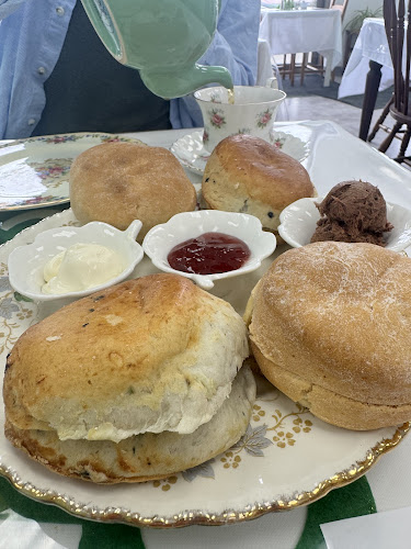 Steve's Tea Company & Tea Room