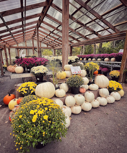 Josmar Acres - Hamilton