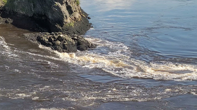 Opinii despre The Baratie - Reversing Falls Restaurant at Stonehammer UNESCO Global Geopark în Saint John - Hospitality and gastronomy