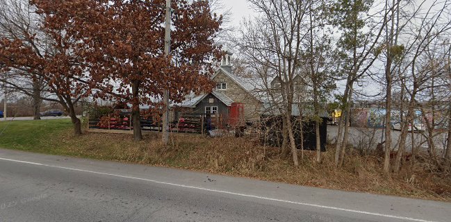 Opinii despre The Cheshire Cat Pub în Ottawa - Hospitality and gastronomy