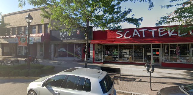 Raku Rice & Noodle Bar