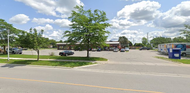 Opinii despre The Italian House Pizzeria în London - Hospitality and gastronomy