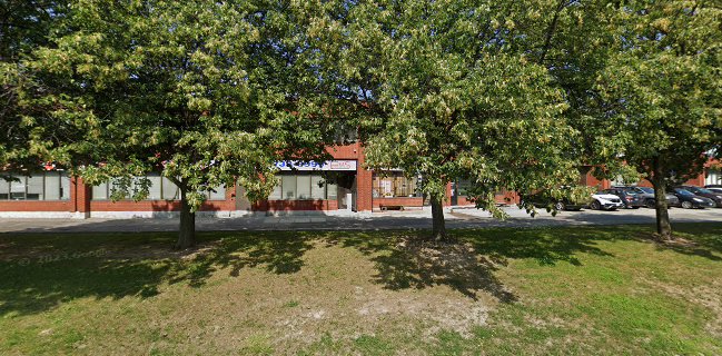 Pat's Caribbean And Catering Services Ltd