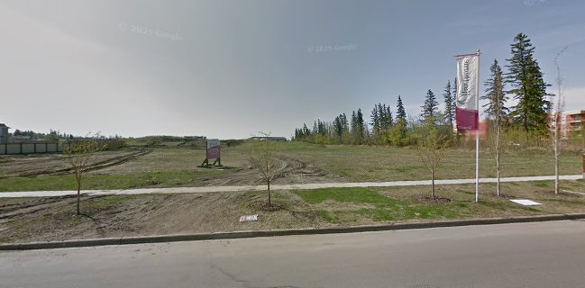 The Whole Scoop Icecream Stand