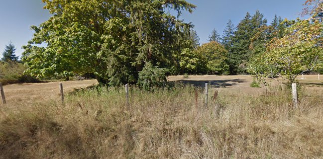 Hornby Island Bakery & Pizzeria