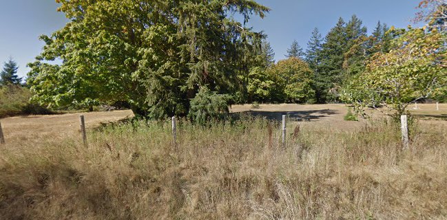 Opinii despre Hornby Island Bakery & Pizzeria în Hornby Island - Hospitality and gastronomy