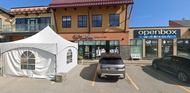 A Ladybug Bakery and Cafe