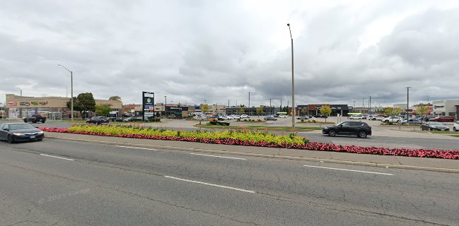 Shawarma Box Cambridge - Hospitality and gastronomy