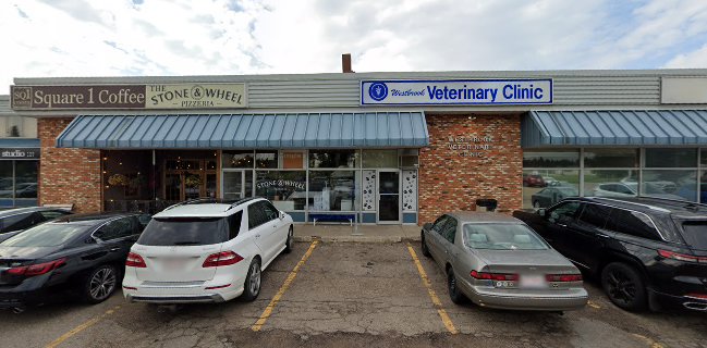 The Stone & Wheel Pizzeria