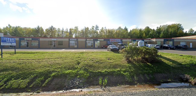 Freddy Bean Roasters