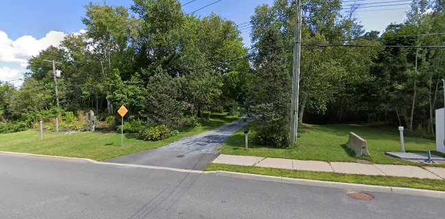 Culinary Impressions