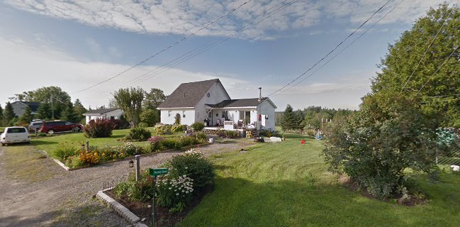 Comentarii opinii despre Pat's Cookie Jar