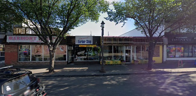 Cat Cafe on Whyte - Edmonton