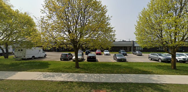 Little Mushroom Catering