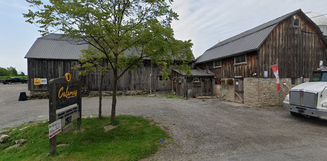 Calamus Estate Winery - Lincoln