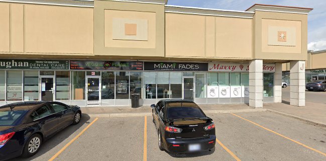 Veggie Planet Vaughan - Vegetarian Indian Pizza, Burger and Street food Restaurant