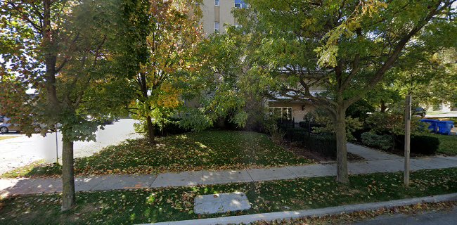 Comentarii opinii despre CurryMan