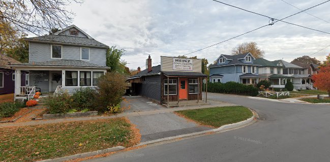 The Tangerine Tortoise